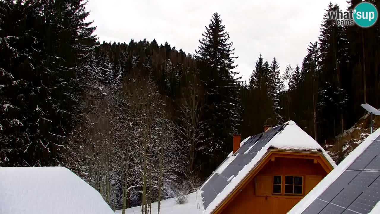 Web kamera Lukanja – Water Village | Pohorje Houses