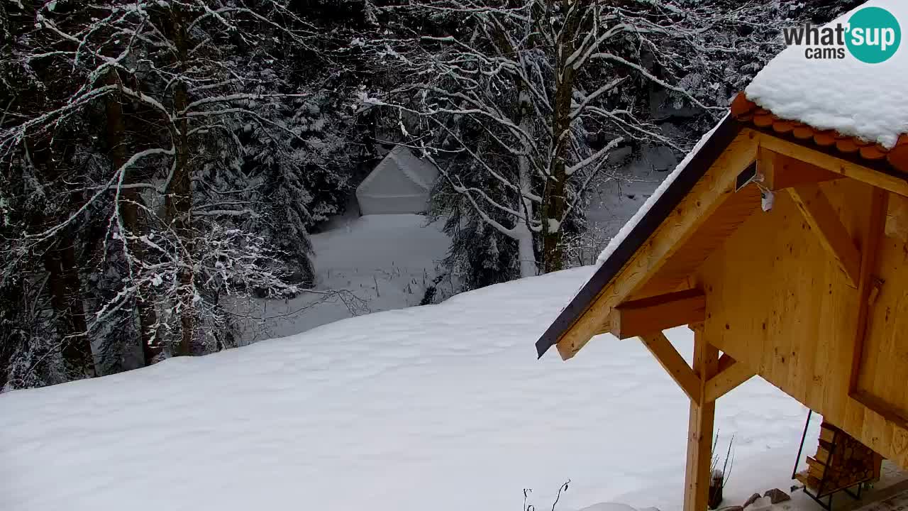 Webcam Lukanja – Water Village | Pohorje Houses