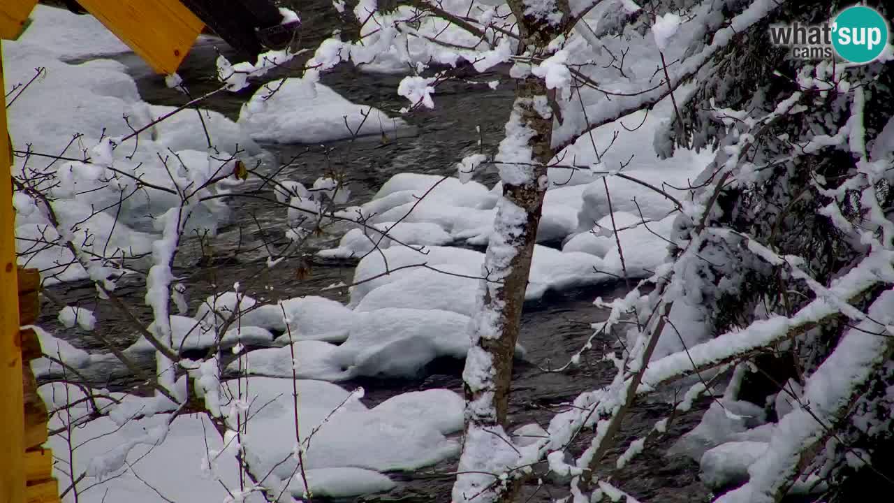 Webcam Lukanja – Water Village | Pohorje Houses