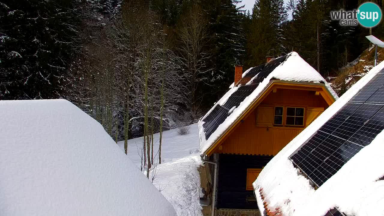 Webcam Lukanja – Water Village | Pohorje Houses