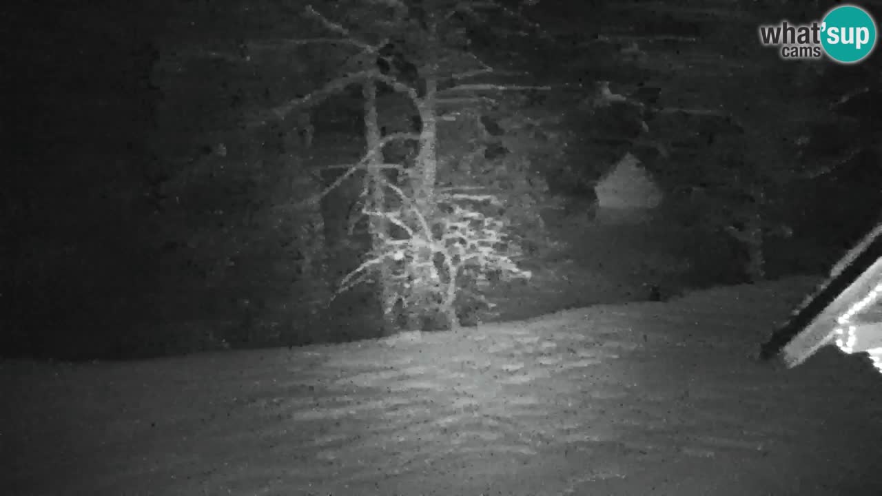 Webcam Lukanja – Water Village | Pohorje Houses