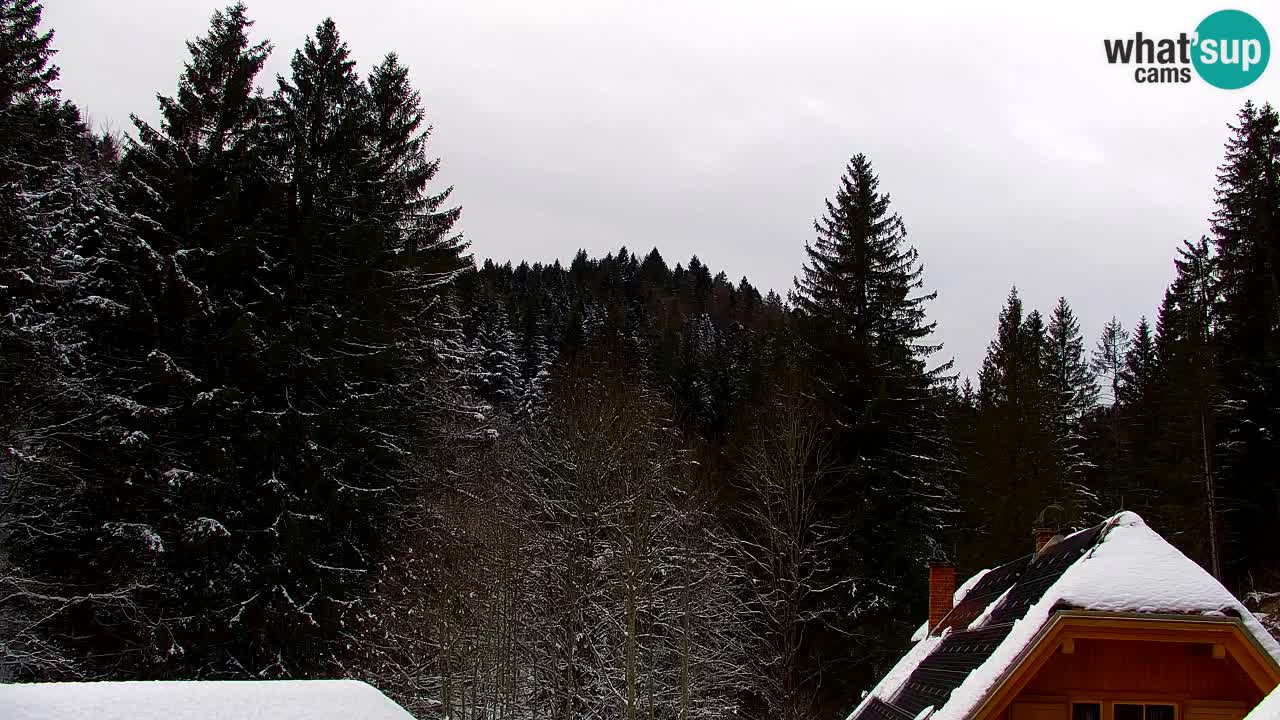 Web kamera Lukanja – Water Village | Pohorje Houses