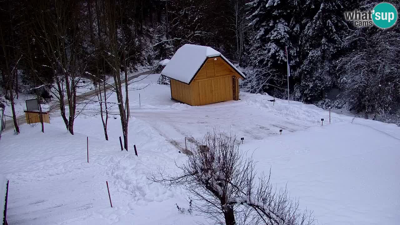 Webcam Lukanja – Pohorje houses a Water village