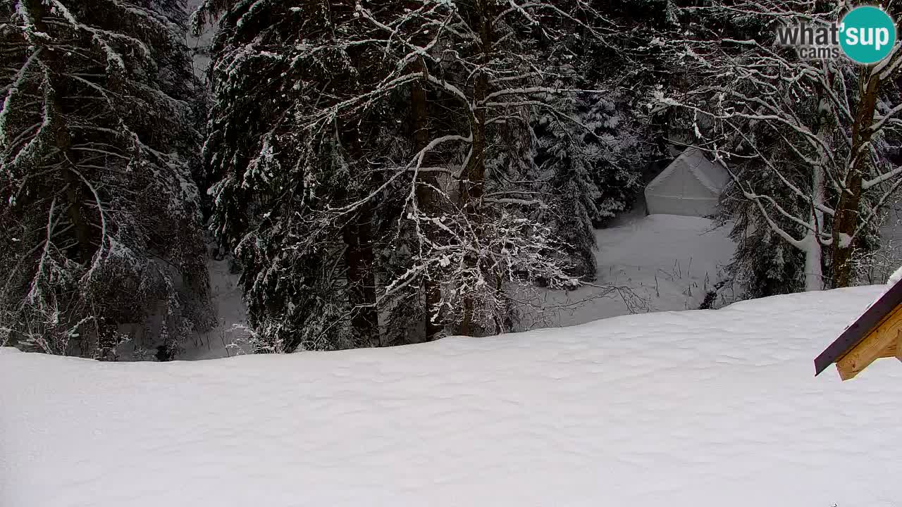 Webcam Lukanja – Pohorje houses a Water village