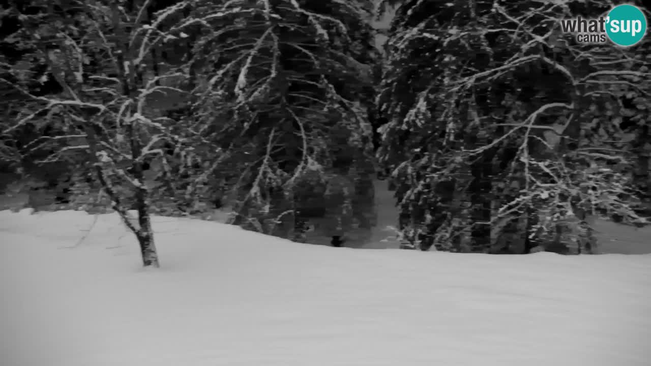 Webcam Lukanja – Pohorje houses a Water village