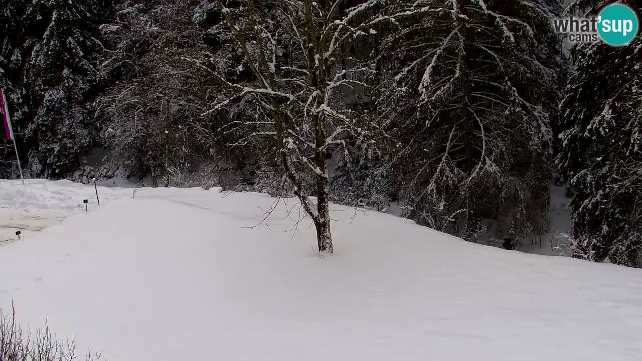 Webcam Lukanja – Water Village | Pohorje Houses