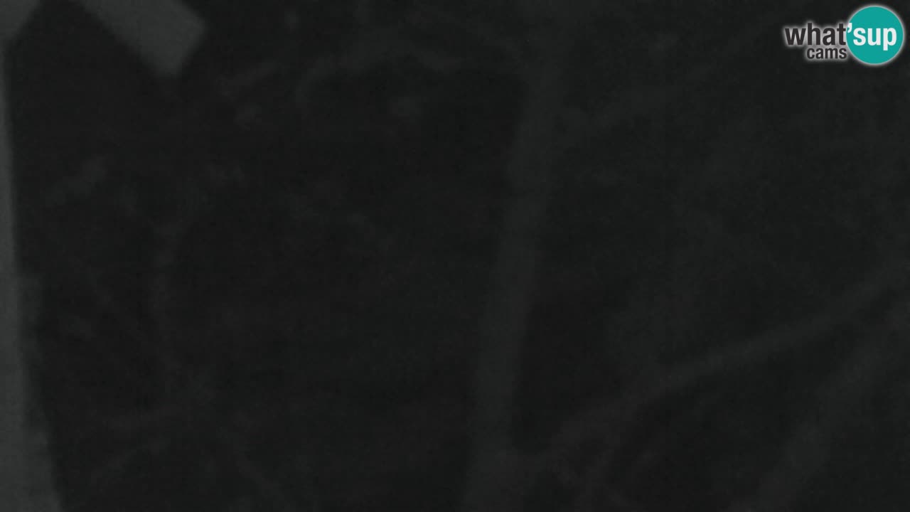 Web kamera Lukanja – Water Village | Pohorje Houses