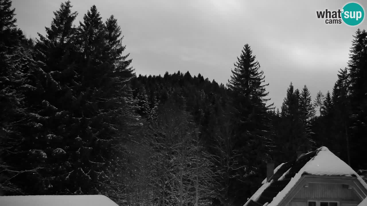 Spletna kamera Lukanja – Water Village | Pohorje Houses