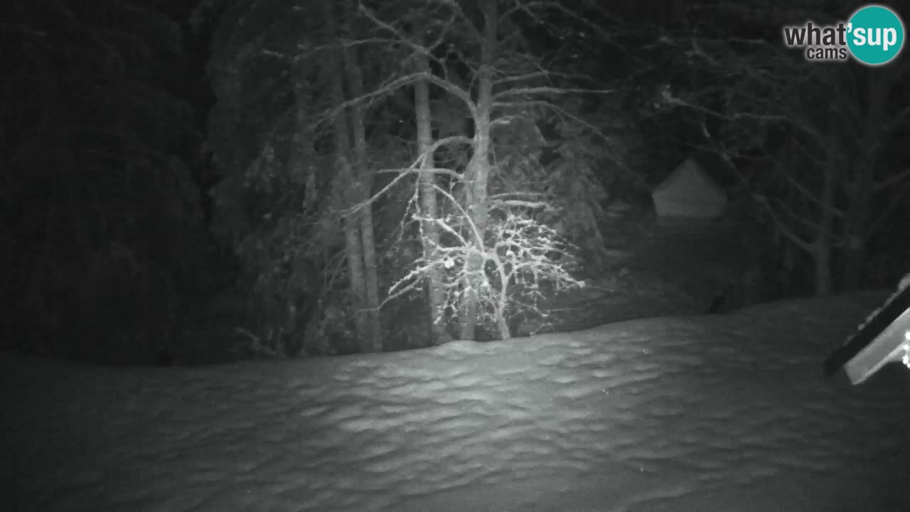 Webcam Lukanja – Pohorje houses a Water village