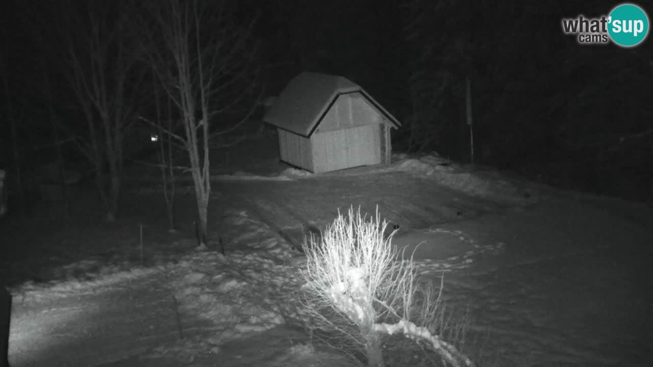 Webcam Lukanja – Pohorje houses a Water village