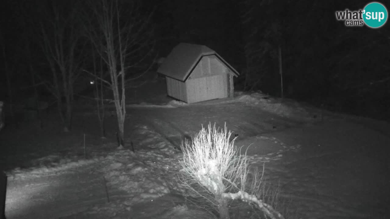 Webcam Lukanja – Pohorje houses a Water village