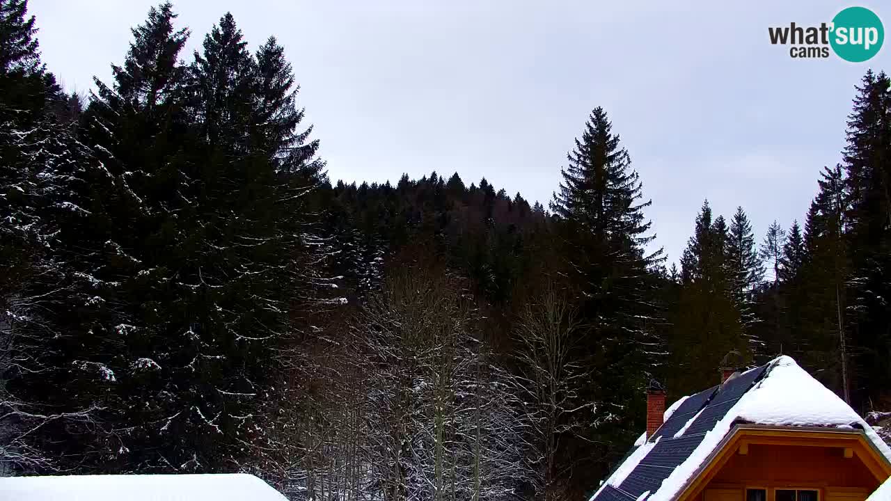 Spletna kamera Lukanja – Water Village | Pohorje Houses