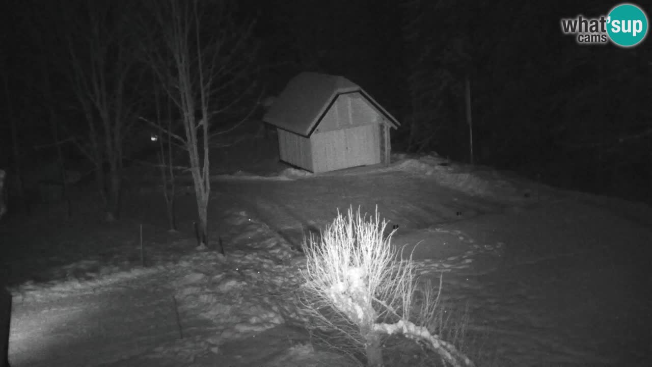 Webcam Lukanja – Water Village | Pohorje Houses