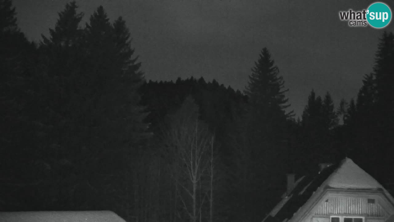 Webcam Lukanja – Pohorje houses a Water village