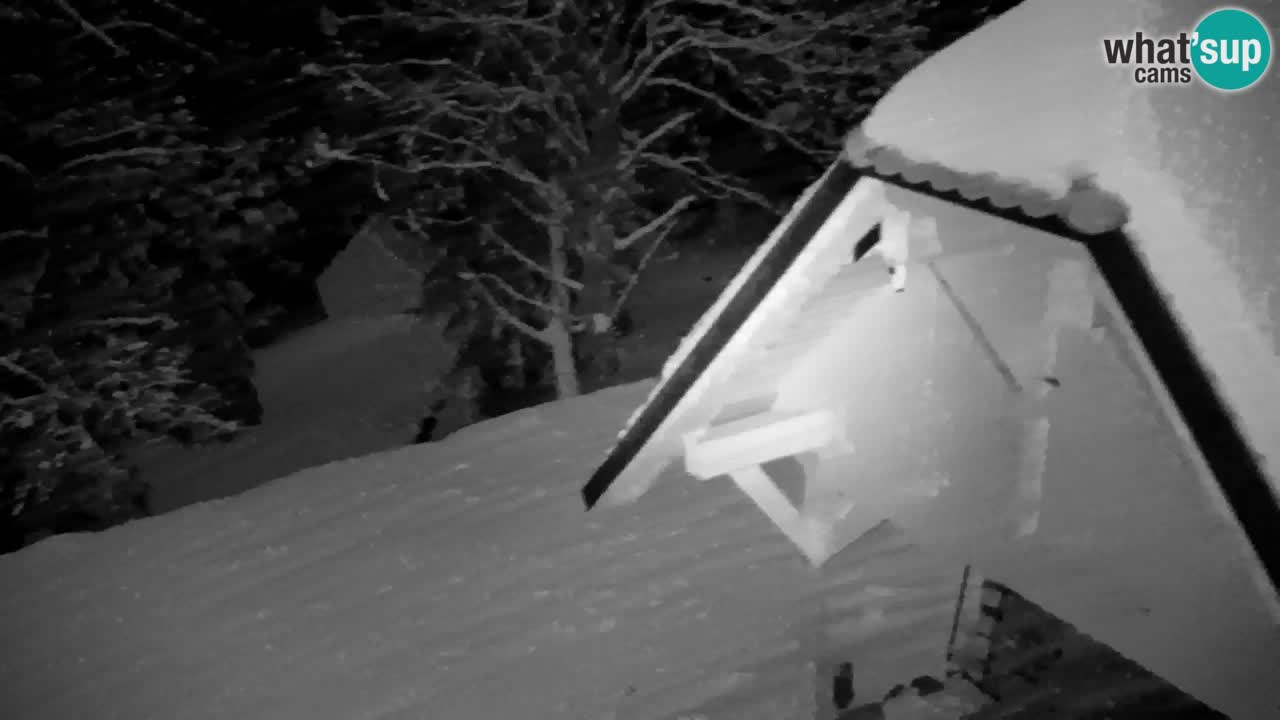 Webcam Lukanja – Pohorje houses a Water village