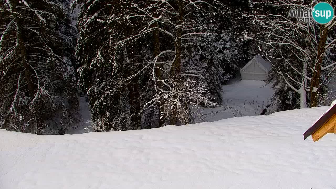 Webcam Lukanja – Pohorje houses a Water village