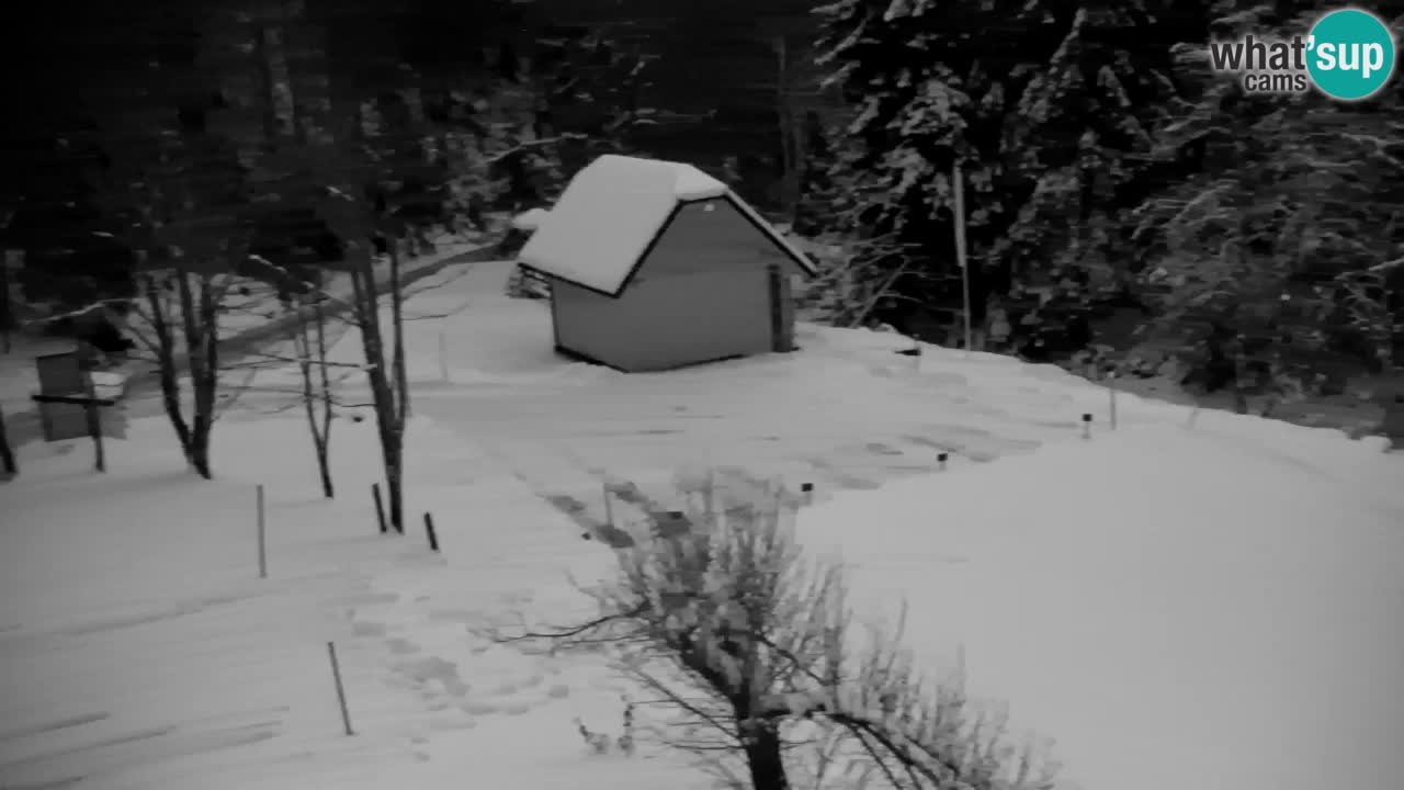 Webcam Lukanja – Water Village | Pohorje Houses