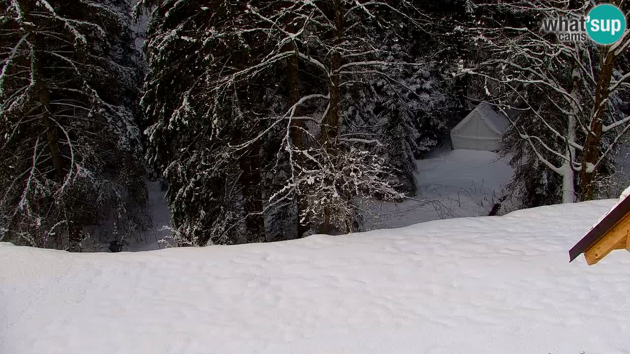 Webcam Lukanja – Water Village | Pohorje Houses