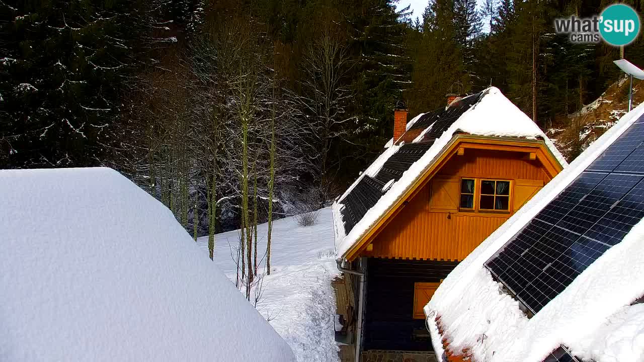 Web kamera Lukanja – Water Village | Pohorje Houses