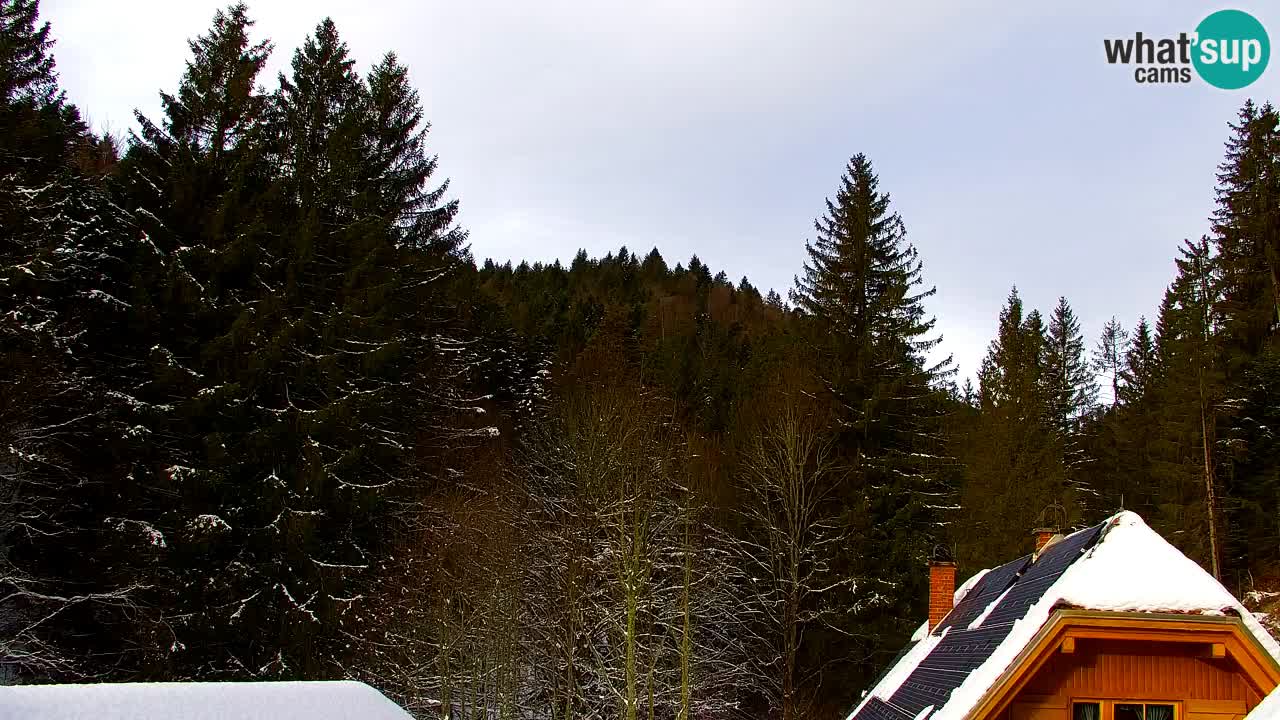 Webcam Lukanja – Water Village | Pohorje Houses