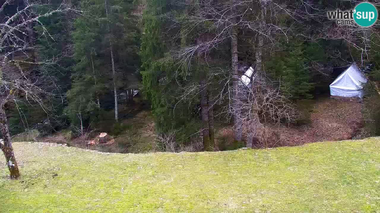 Webcam Lukanja – Water Village | Pohorje Houses