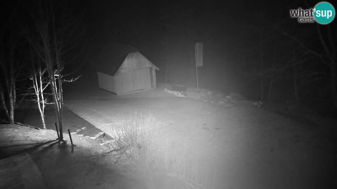 Spletna kamera Lukanja – Water Village | Pohorje Houses