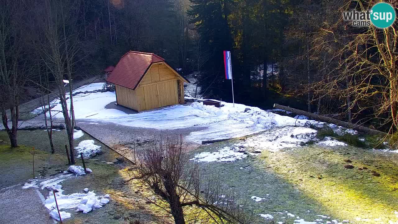 Webcam Lukanja – Water Village | Pohorje Houses