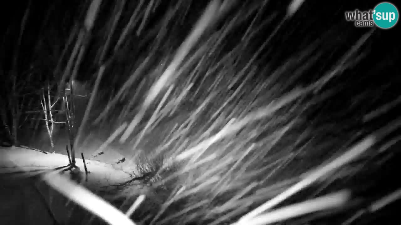 Webcam Lukanja – Water Village | Pohorje Houses