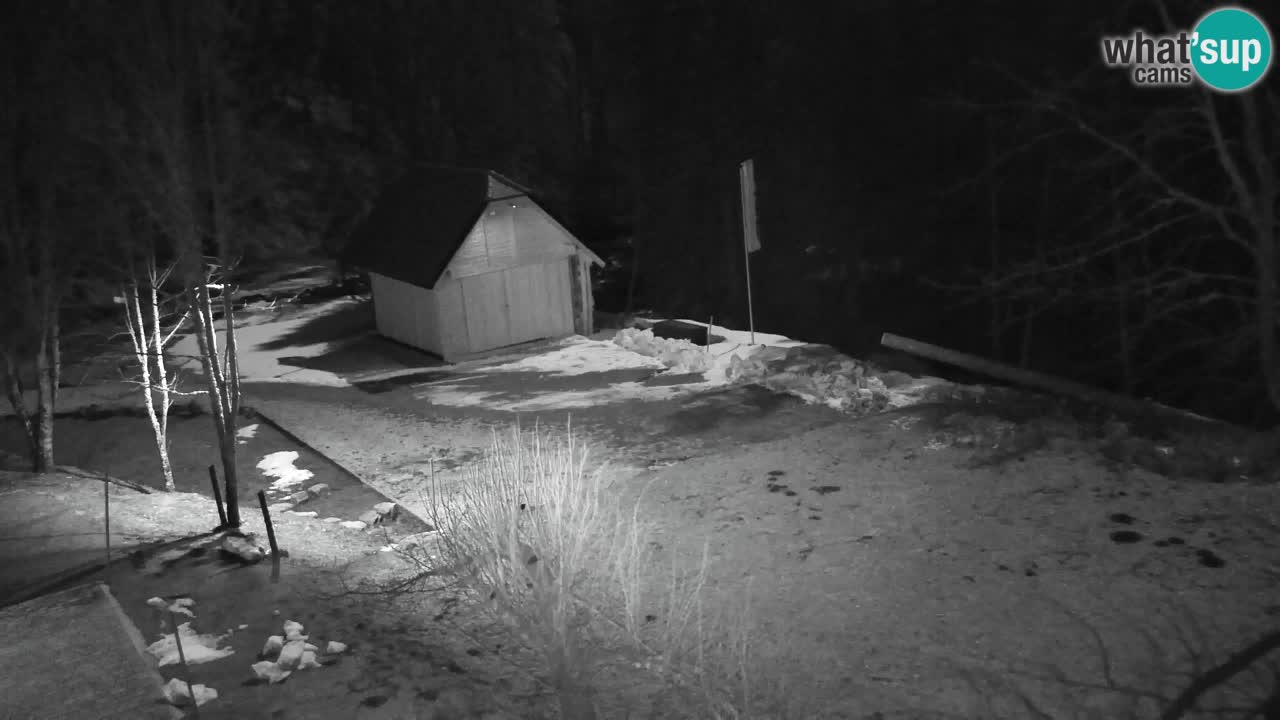 Webcam Lukanja – Pohorje houses a Water village