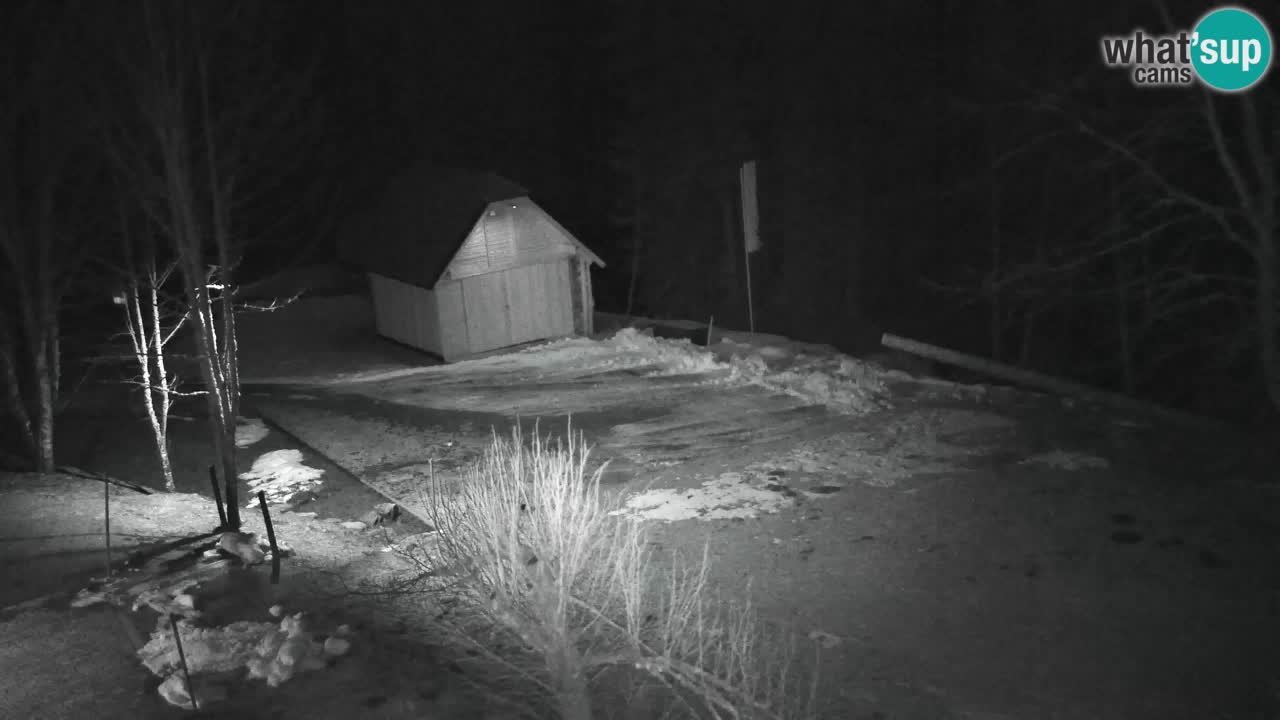 Webcam Lukanja – Pohorje houses a Water village