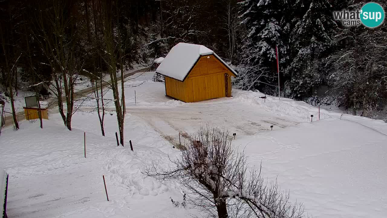 Spletna kamera Lukanja – Water Village | Pohorje Houses