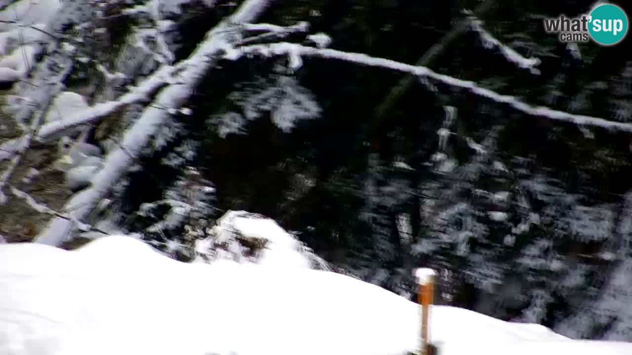 Webcam Lukanja – Water Village | Pohorje Houses