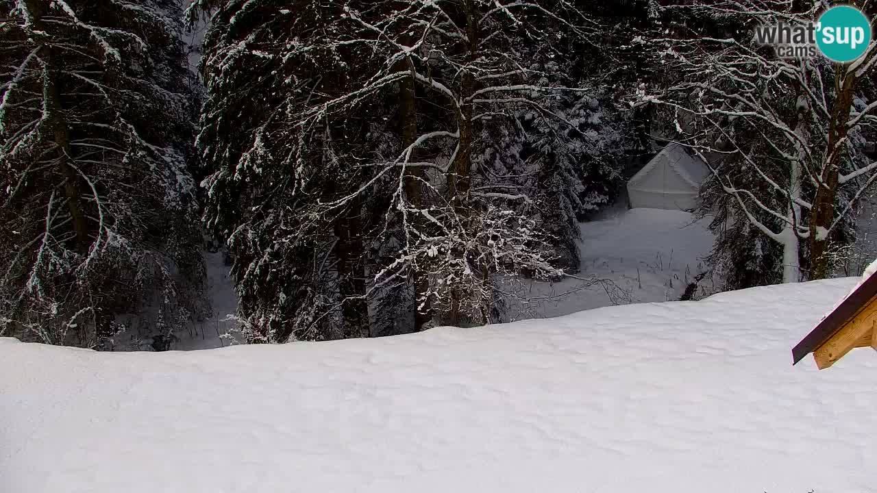 Webcam Lukanja – Water Village | Pohorje Houses