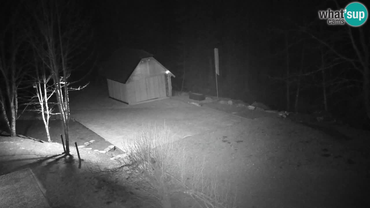 Webcam Lukanja – Pohorje houses a Water village