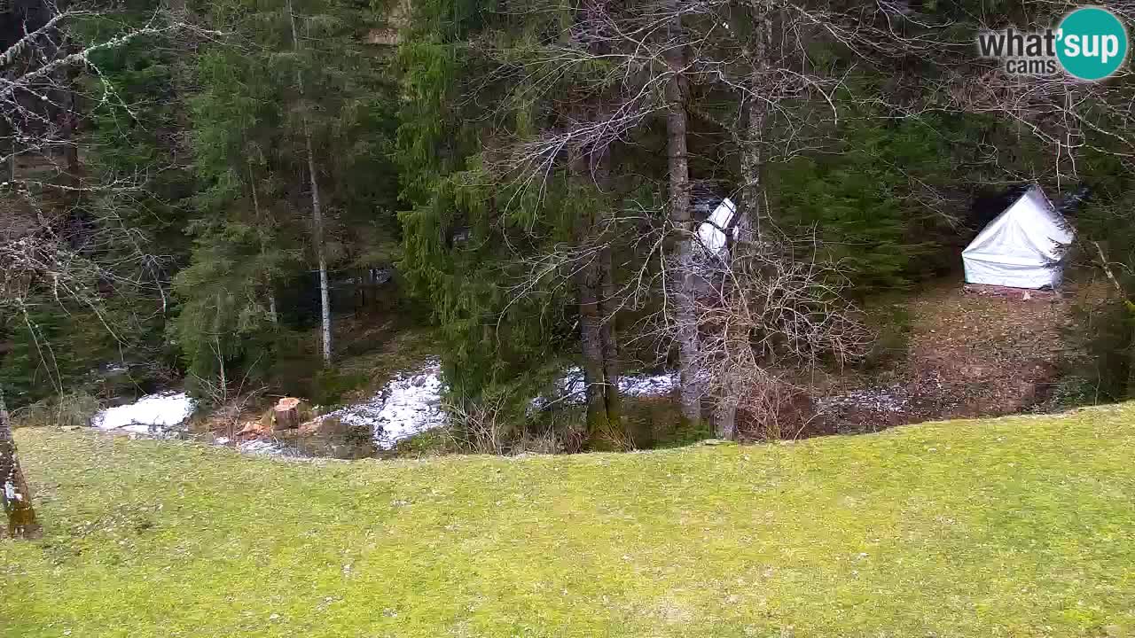 Webcam Lukanja – Pohorje houses a Water village