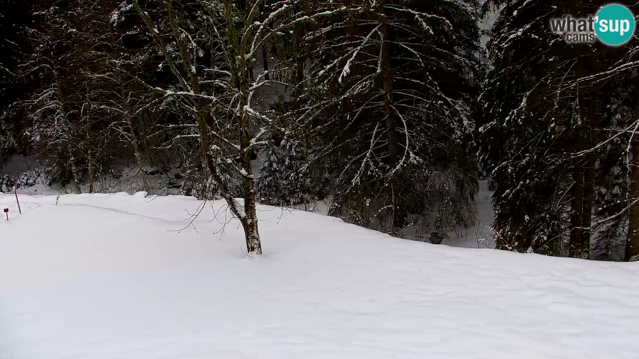 Webcam Lukanja – Water Village | Pohorje Houses