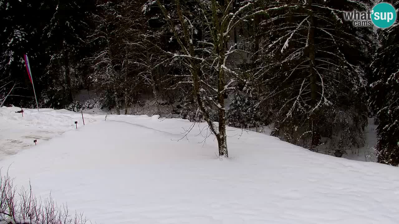 Web kamera Lukanja – Water Village | Pohorje Houses