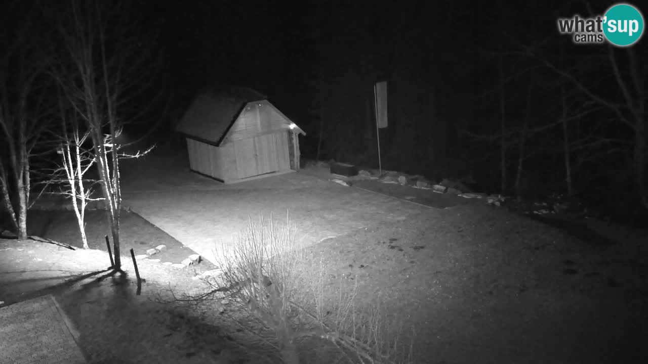 Webcam Lukanja – Pohorje houses a Water village