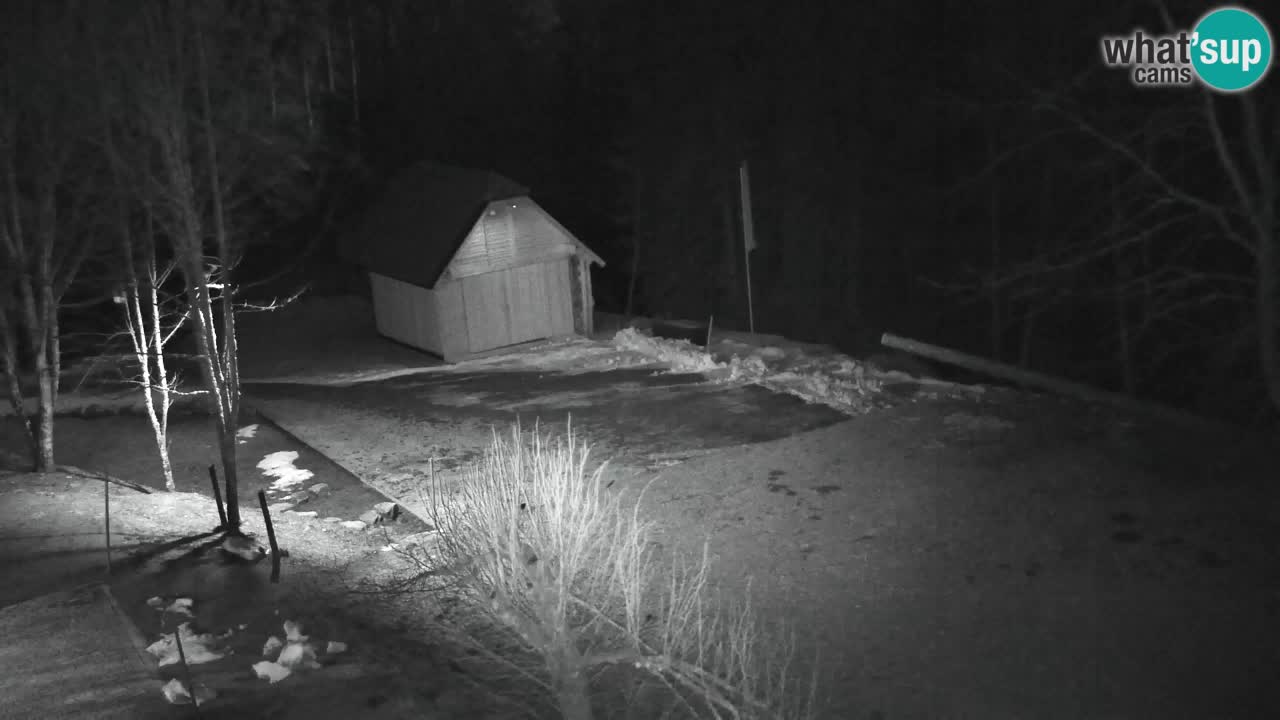 Webcam Lukanja – Water Village | Pohorje Houses