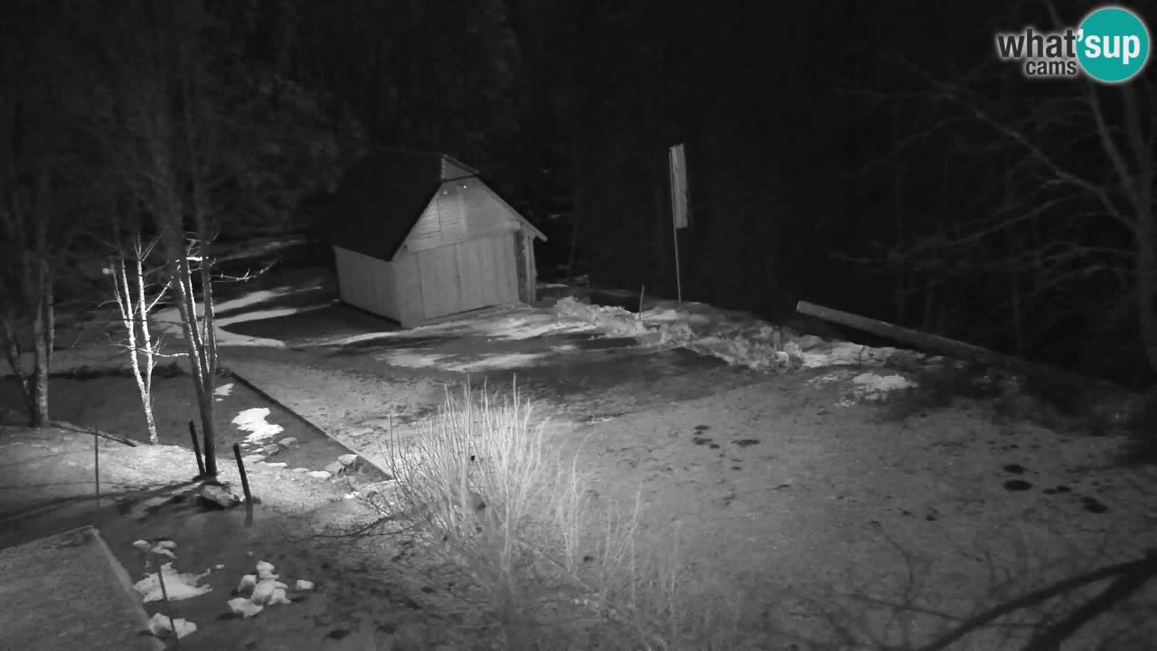 Webcam Lukanja – Water Village | Pohorje Houses