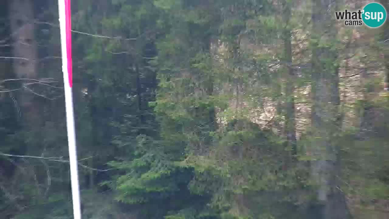 Webcam Lukanja – Water Village | Pohorje Houses