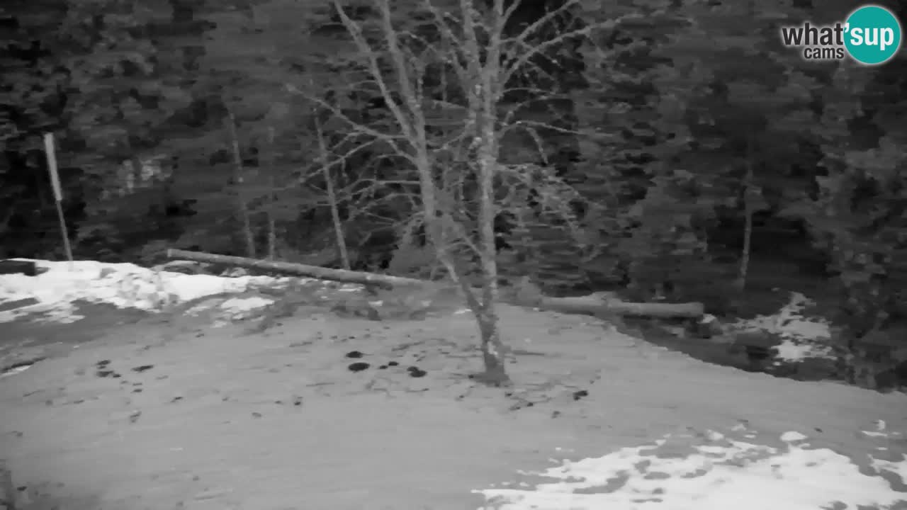 Webcam Lukanja – Water Village | Pohorje Houses