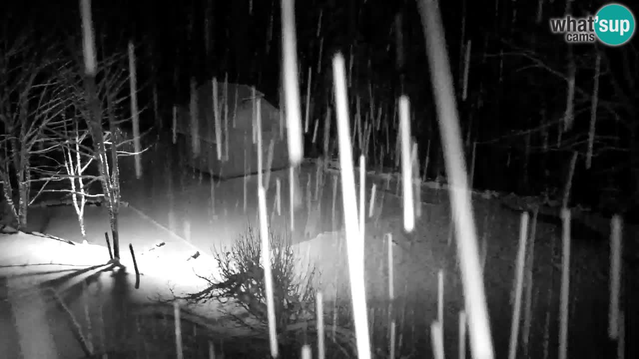 Webcam Lukanja – Water Village | Pohorje Houses