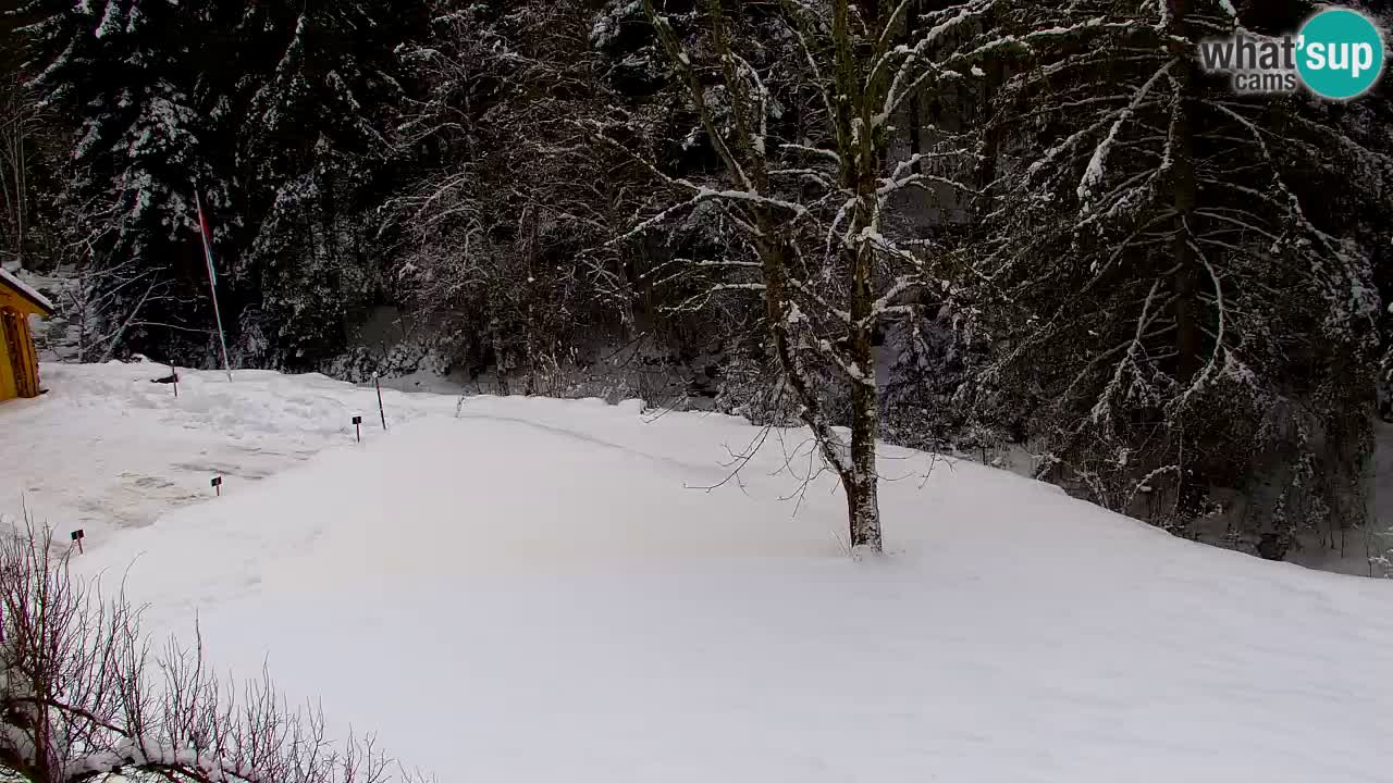 Web kamera Lukanja – Water Village | Pohorje Houses