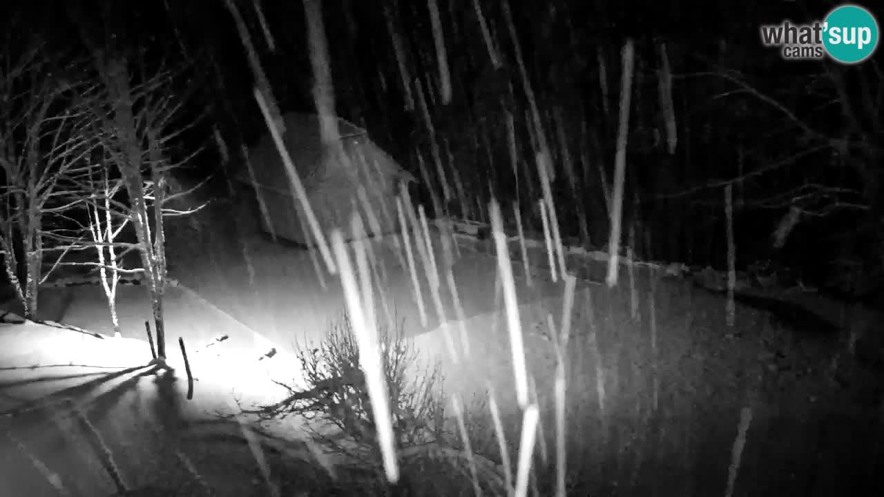 Webcam Lukanja – Pohorje houses a Water village