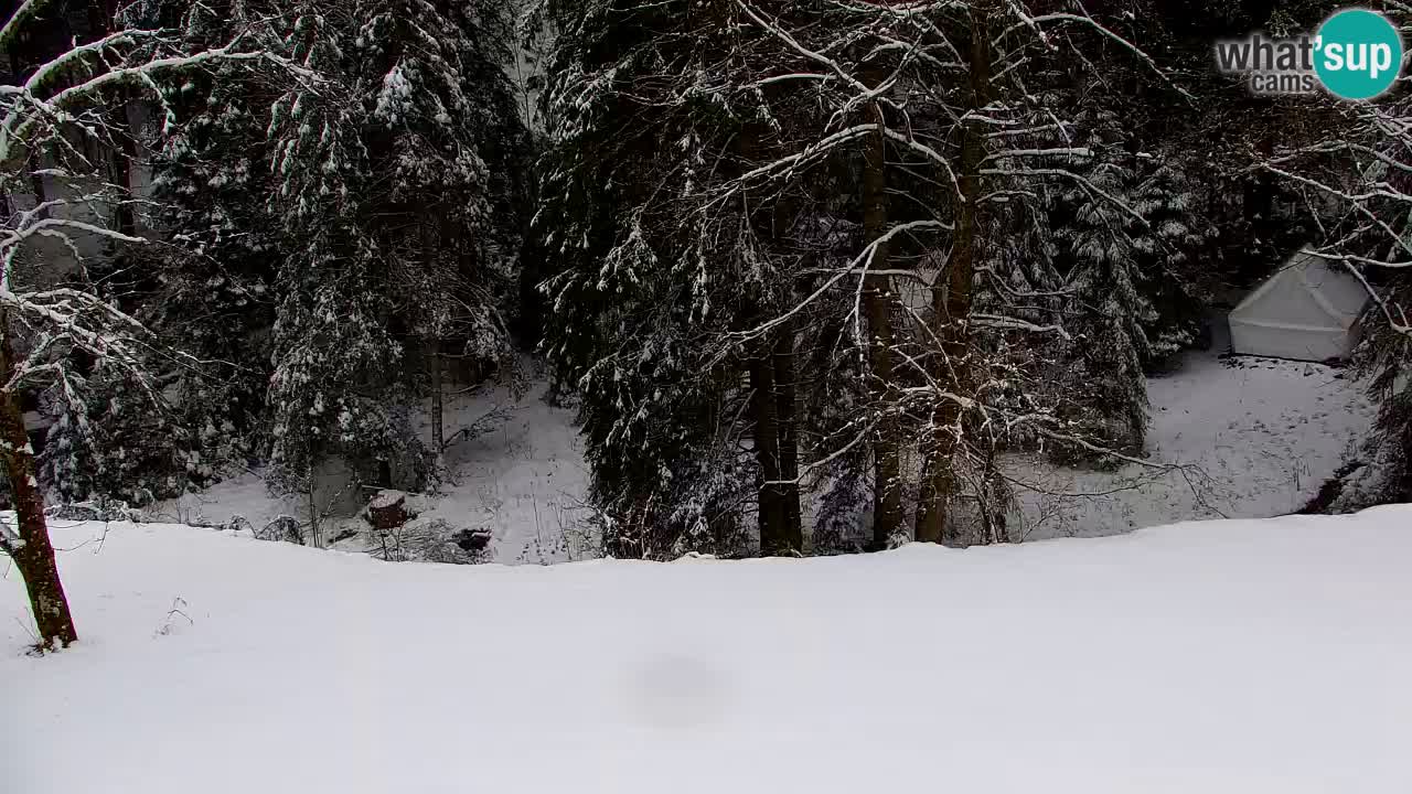 Webcam Lukanja – Water Village | Pohorje Houses