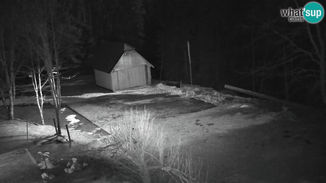 Webcam Lukanja – Pohorje houses a Water village