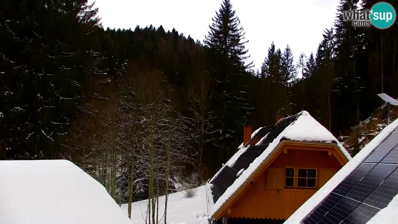 Spletna kamera Lukanja – Water Village | Pohorje Houses