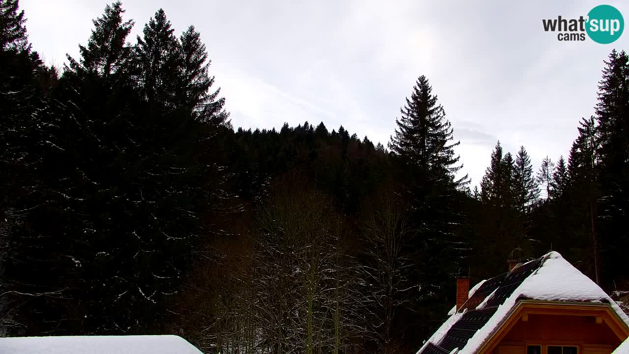 Webcam Lukanja – Water Village | Pohorje Houses