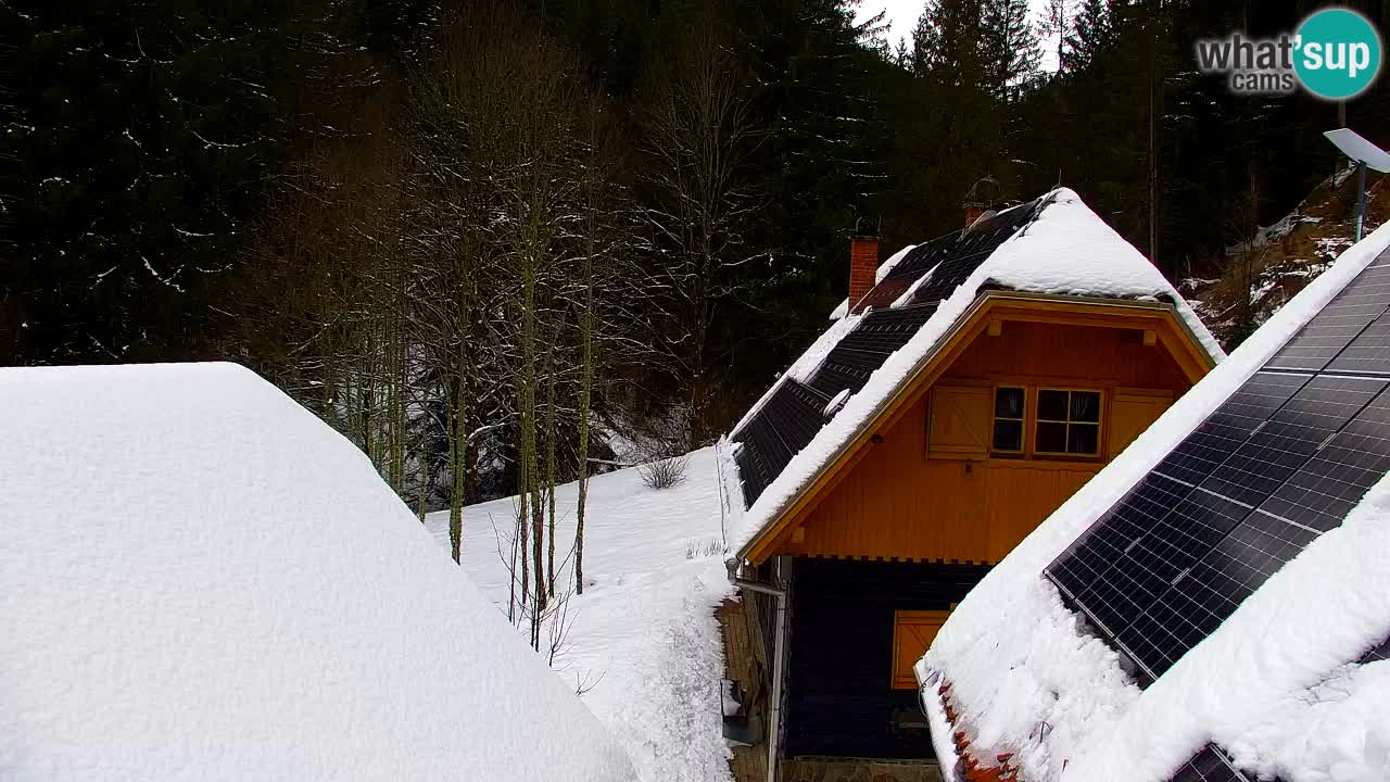 Webcam Lukanja – Water Village | Pohorje Houses